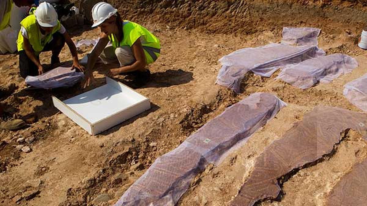 Trasllat del mosaic de la vil·la romana de la Sagrera