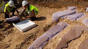 Trasllat del mosaic de la vil·la romana de la Sagrera