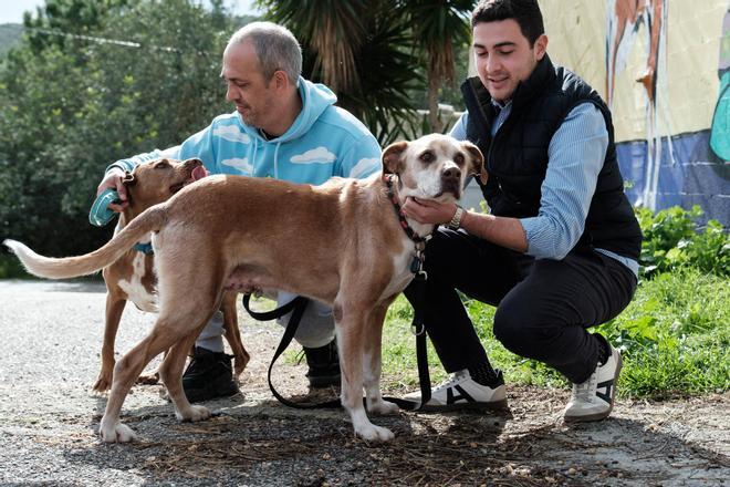 Las imágenes de la adopción de Rex y Estrella en Sa Coma