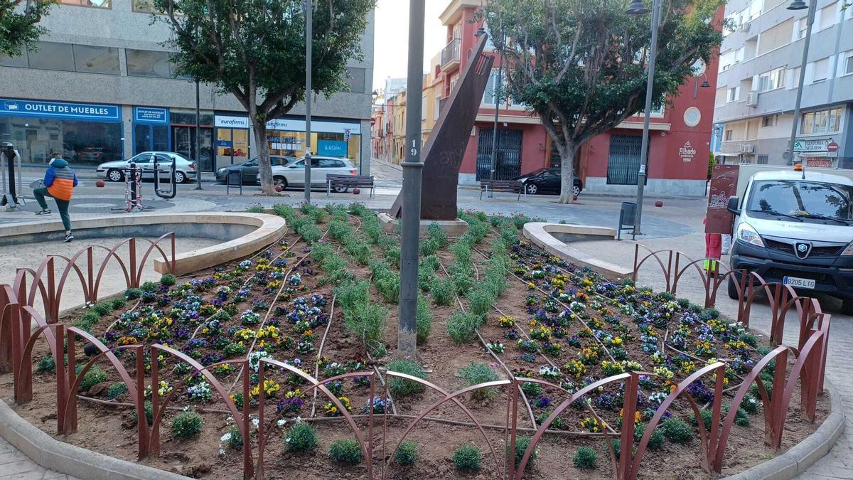 Plantes i flors a la plaça Musical d'Alzira.