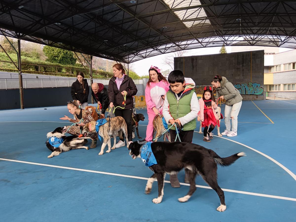 El desfile de mascotas de Grado, en imágenes