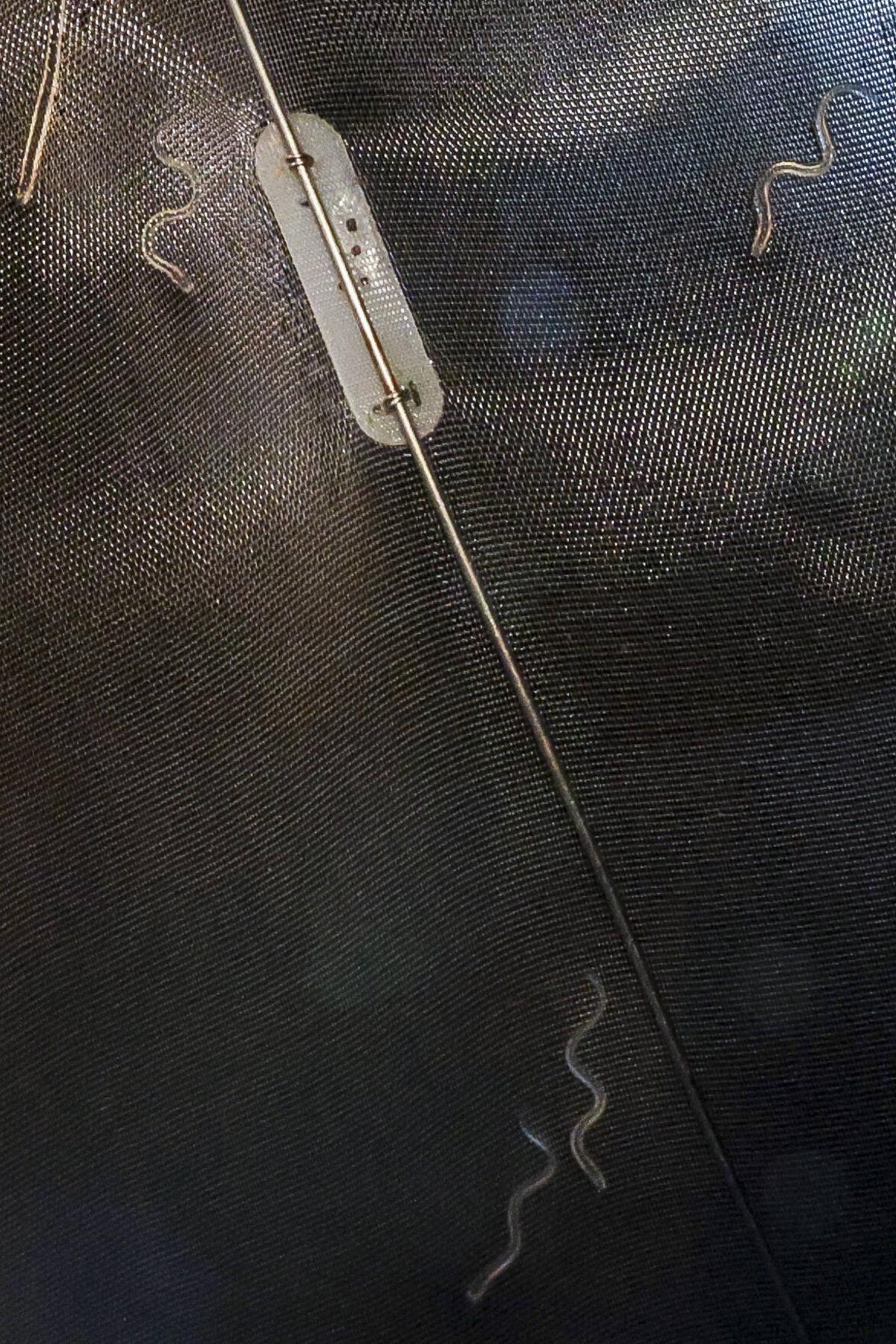 Las solitarias y duras noches de los anguleros de Asturias