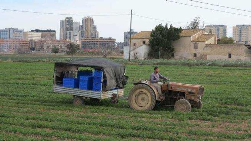 Propietarios de huerta piden más edificabilidad y menos dotaciones