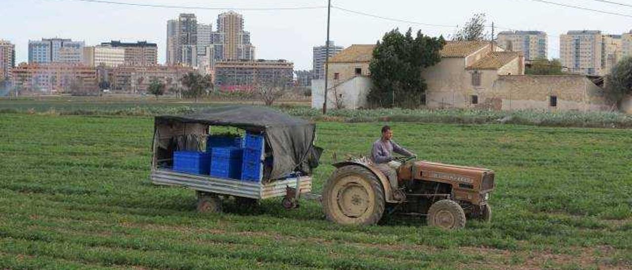 Propietarios de huerta piden más edificabilidad y menos dotaciones