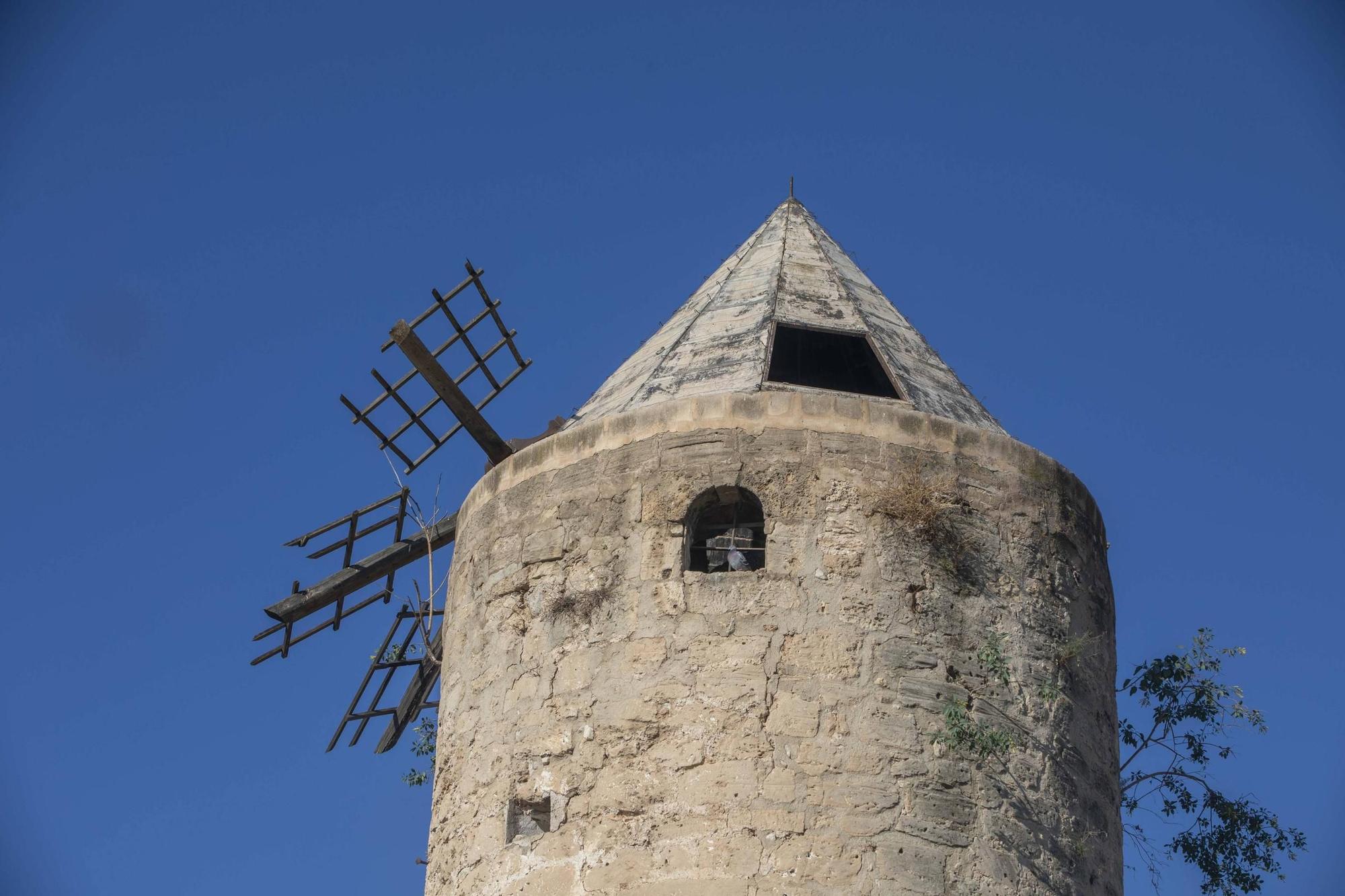 FOTOS Los molinos de es Jonquet, del esplendor de la discoteca Jack el