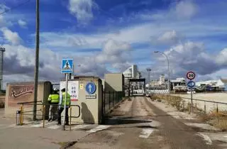 Toro molturará toda la remolacha de la zona norte, pero Azucarera plantea 26 despidos