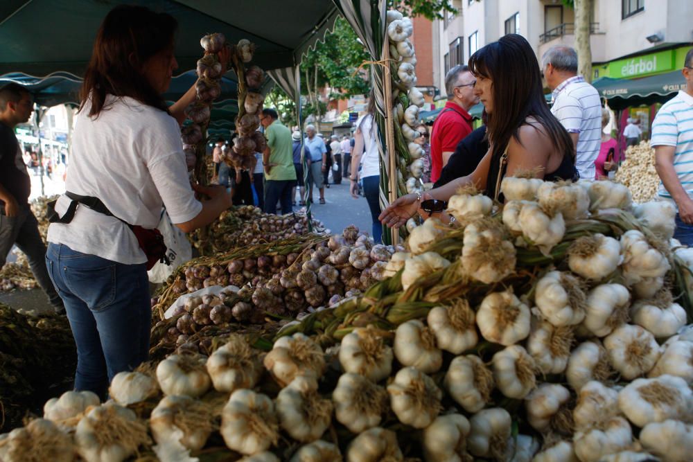 San Pedro 2016: Feria del Ajo