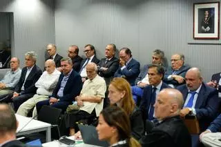 "Venía todo hecho": un exconsejero del Canal de Isabel II cuestiona la compra de Inassa que se juzga en el caso Lezo