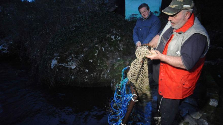 Comienza la cuenta atrás para la pesca de la lamprea en el río Ulla