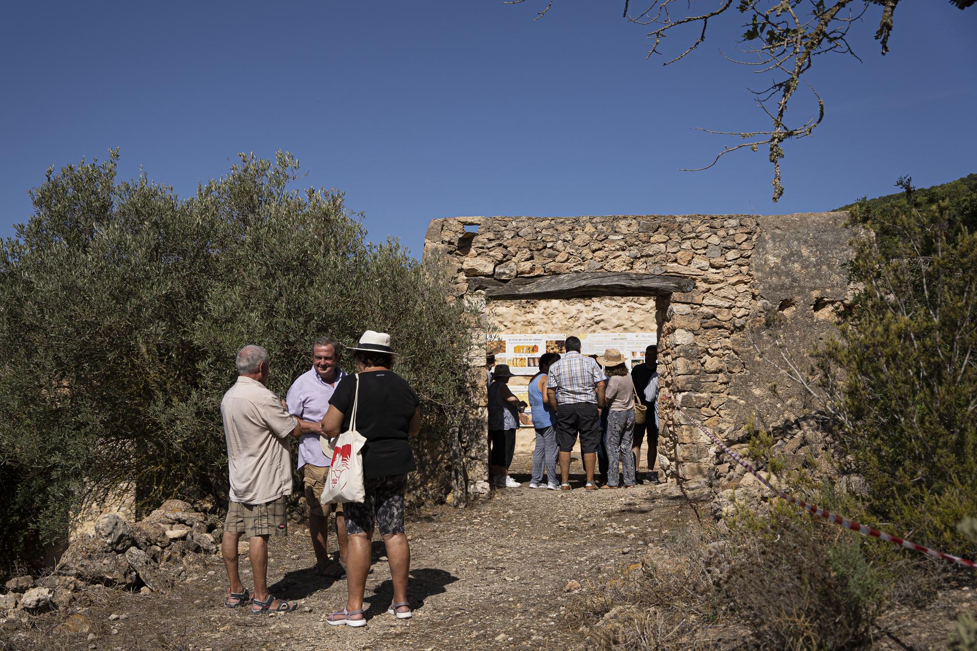 Un centro de divulgación de la abeja ibicenca en Sant Jordi