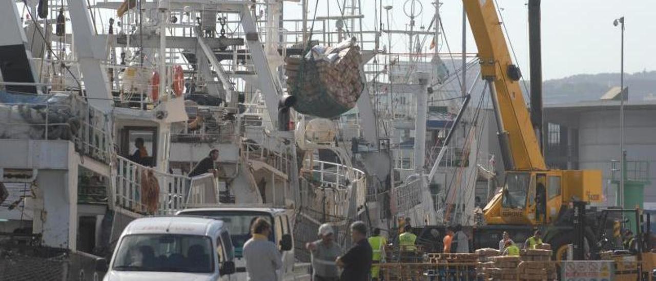 Descarga de pescado en el Puerto de Las Palmas, en una imagen de archivo. | | LP/DLP