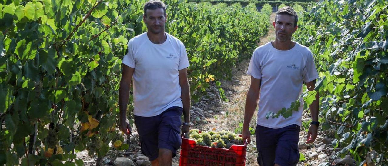 El encargado, Andreu Caballer, a la izquierda, y el enólogo y dueño de la bodega, Sergio Alén. |    // ANXO GUTIÉRREZ