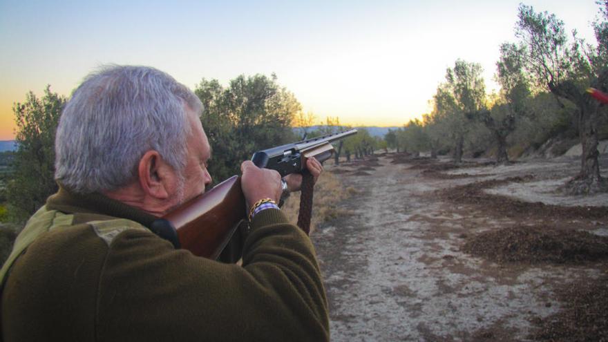 Habilitan la caza del jabalí &quot;para evitar daños en la agricultura y propagación de enfermedades al ganado&quot;