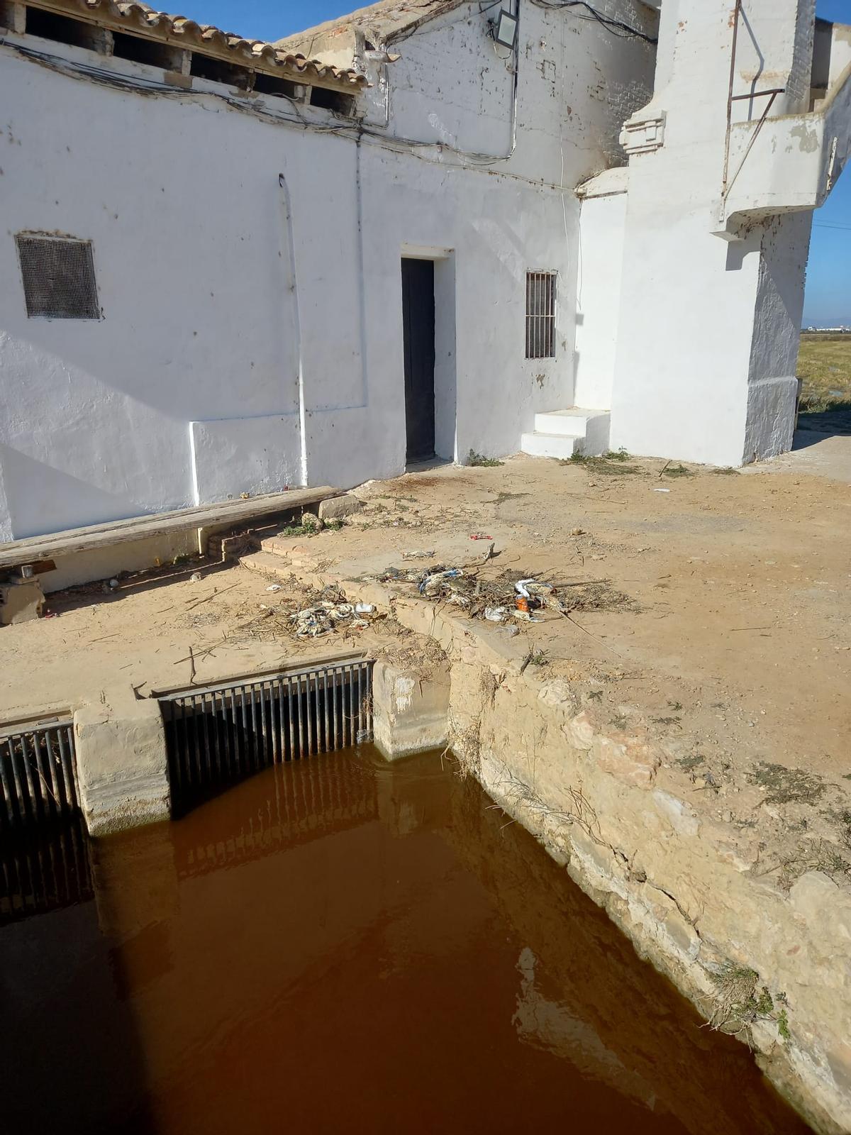 Punto donde han aparecido los ejemplares muertos de cangrejo azul.