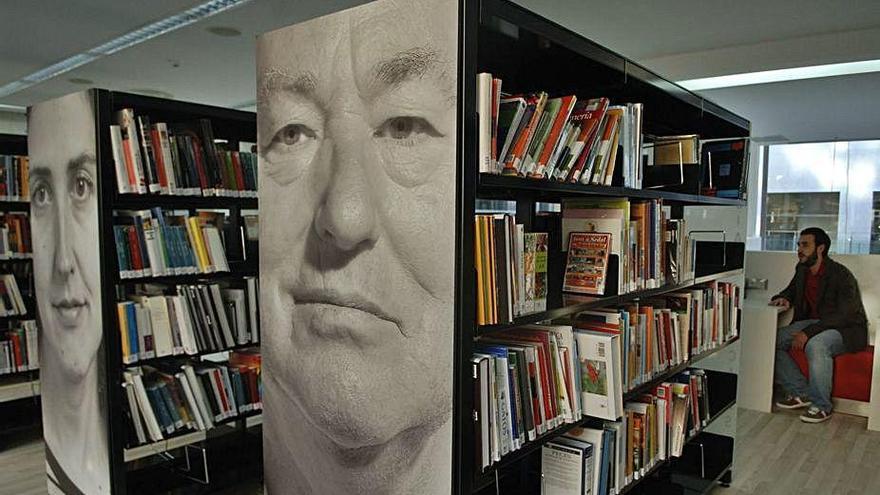 Interior de la biblioteca de O Castrillón.