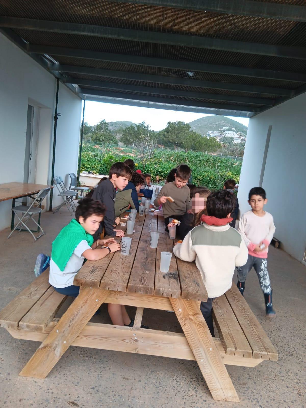 Estas son las imágenes del campamento de arqueología en Can Tomeu, programación Natura