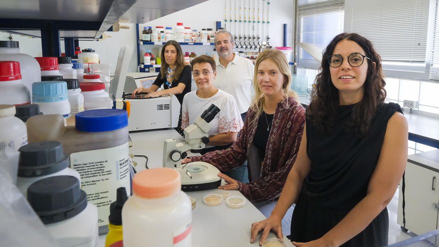 La ULPGC participa en la creación de una red industrial de algas en Europa