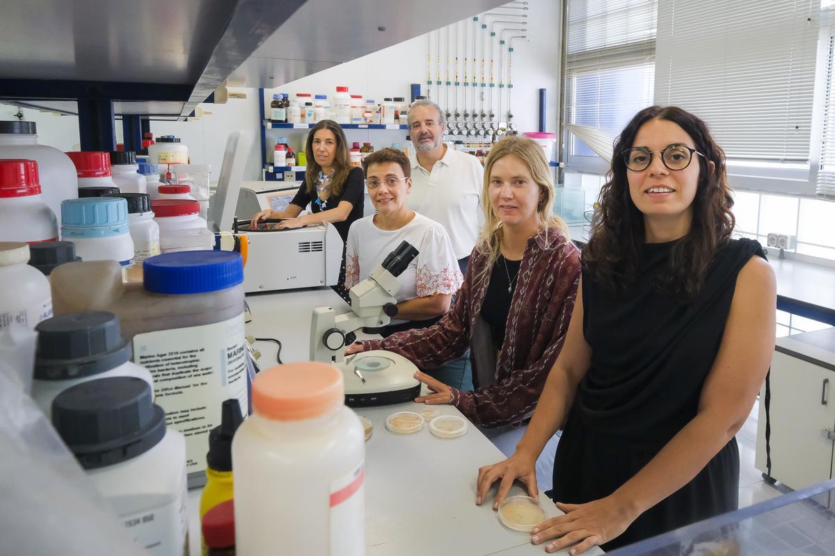 De izquierda a derecha, Milagros Rico, Rafael Robaina, Pilar García, Jennifer Koops y Marina Carrasco en el laboratorio en la Facultad de Ciencias del Mar.