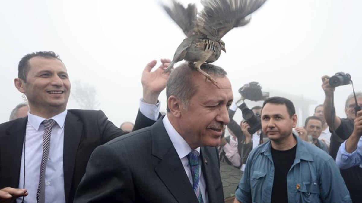 A grouse sits on Turkish President Tayyip Erdogan's head as he visits a facility of the Forest and Water Management Ministry in Rize, Turkey