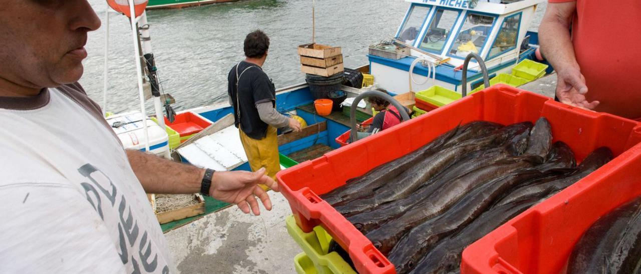 Una pasada descarga de cajas de merluzas “del pincho” en el muelle pesquero de Avilés.