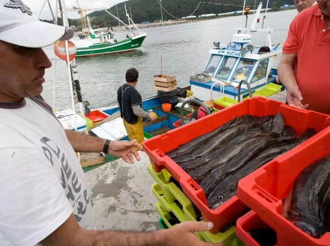 El Gobierno articula un apaño in extremis que evita cerrar la pesquería de merluza