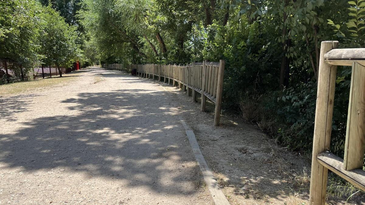 Al arroyo Camarmilla en Alcalá llegarán nuevos árboles y arbustos de diferentes especies