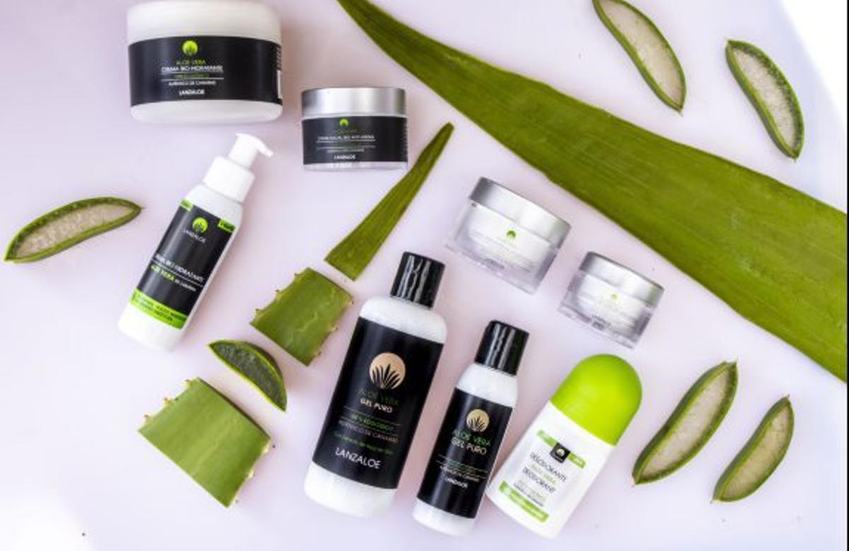 Lanzaloe se ha consolidado como un referente del archipiélago en el cultivo del aloe vera y en la elaboración de cosmética y complementos alimenticios a partir de esta planta