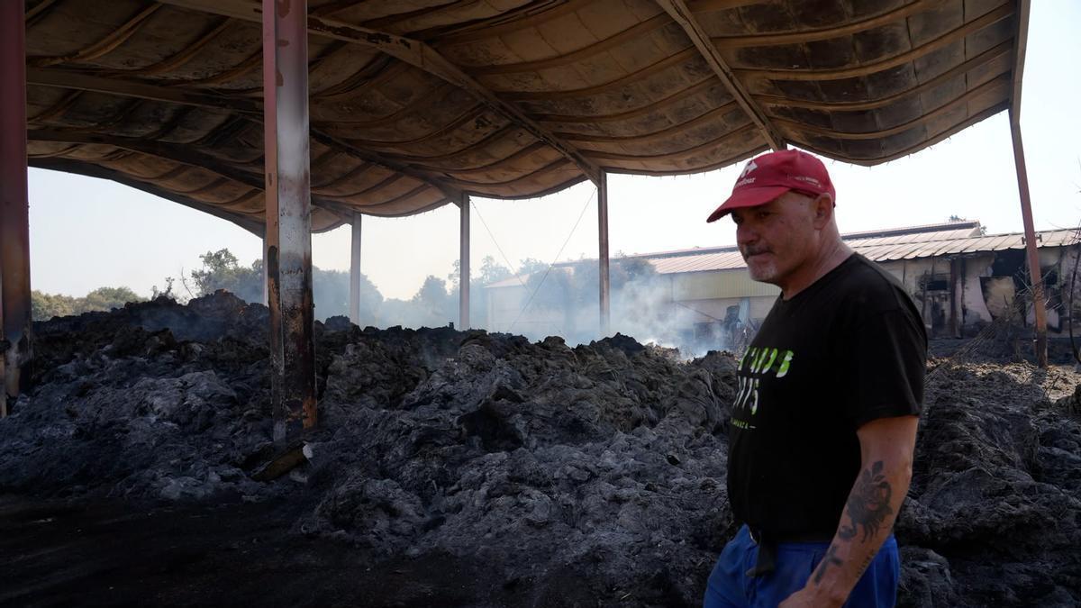 Amable Pascual, ganadero de Zafara: "No sabemos qué hacer. Si seguir o parar"
