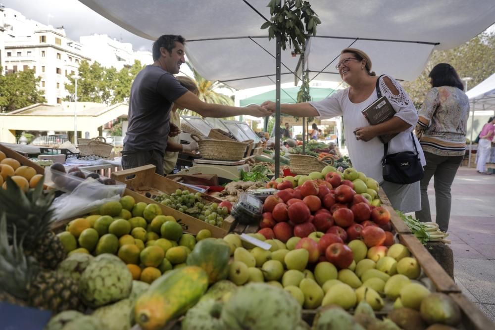 El mercado de Patines avanza por la línea verde
