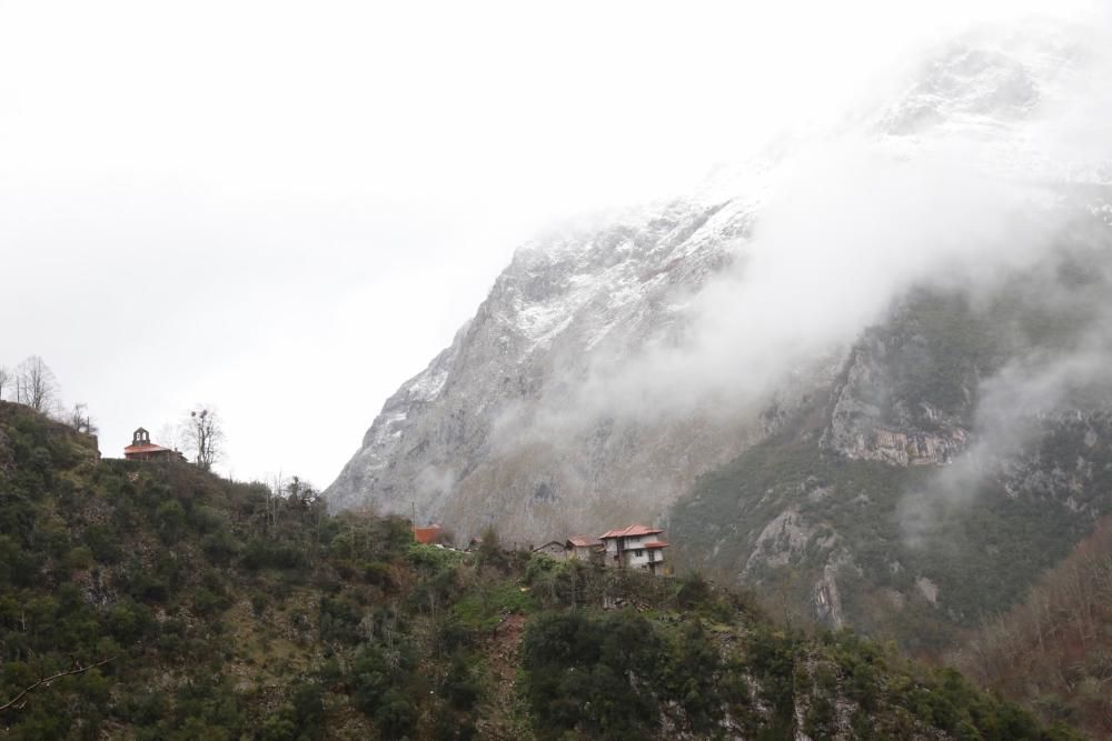 Temporal de nieve en Viego (Ponga)