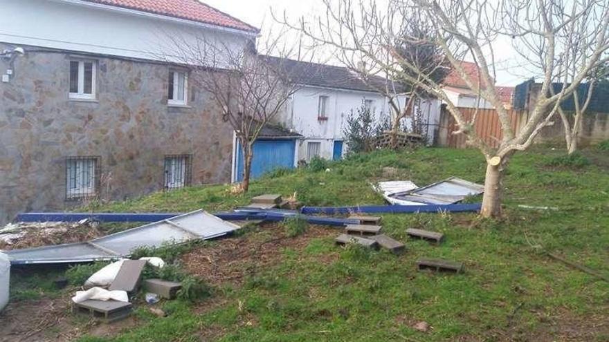 Vista de árboles, postes, señales y una cornisa que cayeron ayer a causa del temporal.