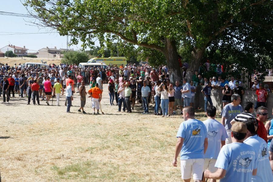 Fiestas en Zamora: Segudos espantes de Fuentesaúco