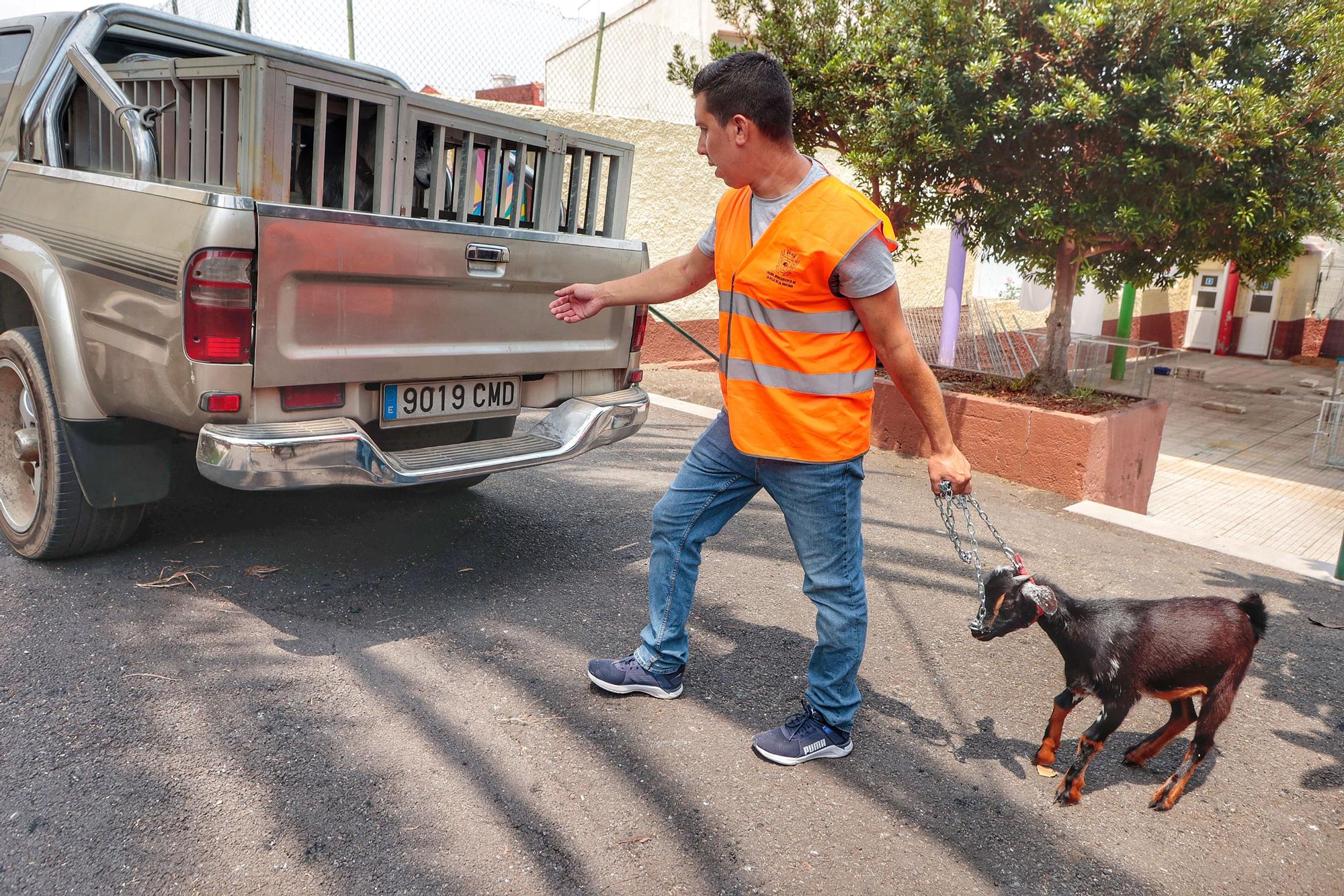 Zonas afectadas por el incendio de Tenerife en El Rosario y La Orotava