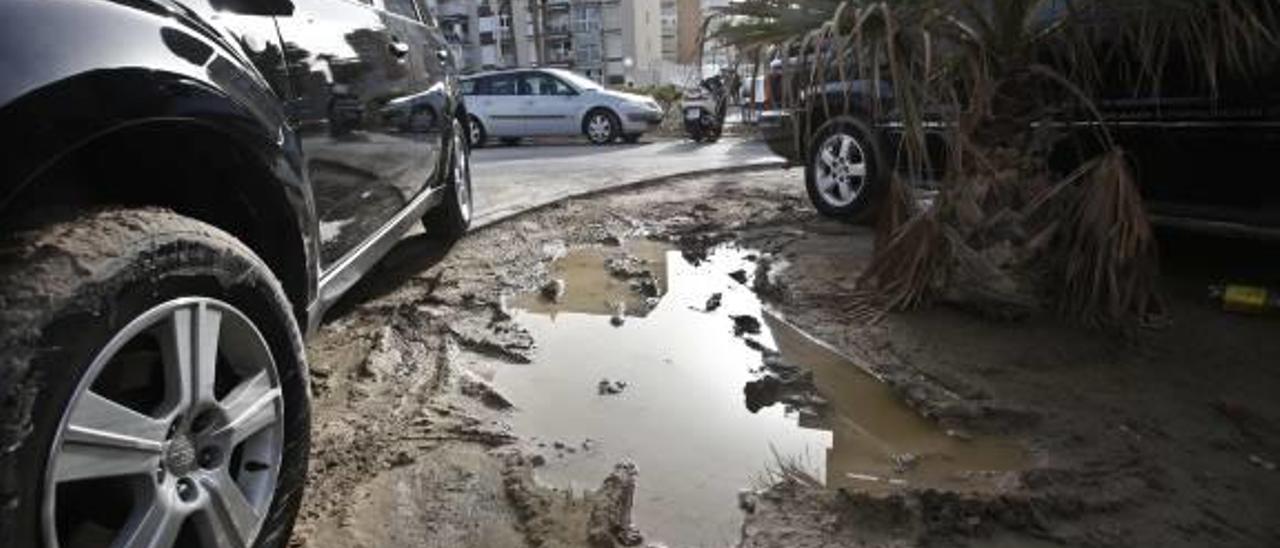 El Ayuntamiento vallará los parterres del paseo de Niza para evitar daños en el riego