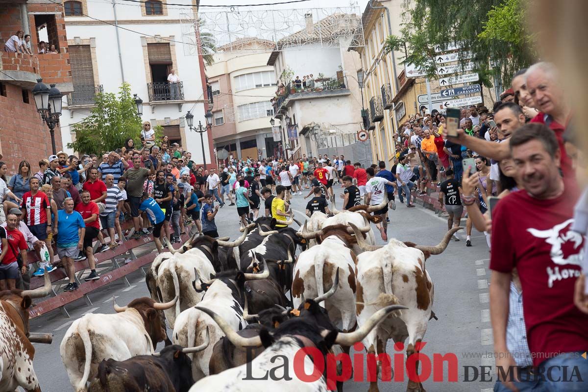 Cuarto encierro en las Fiestas de Moratalla