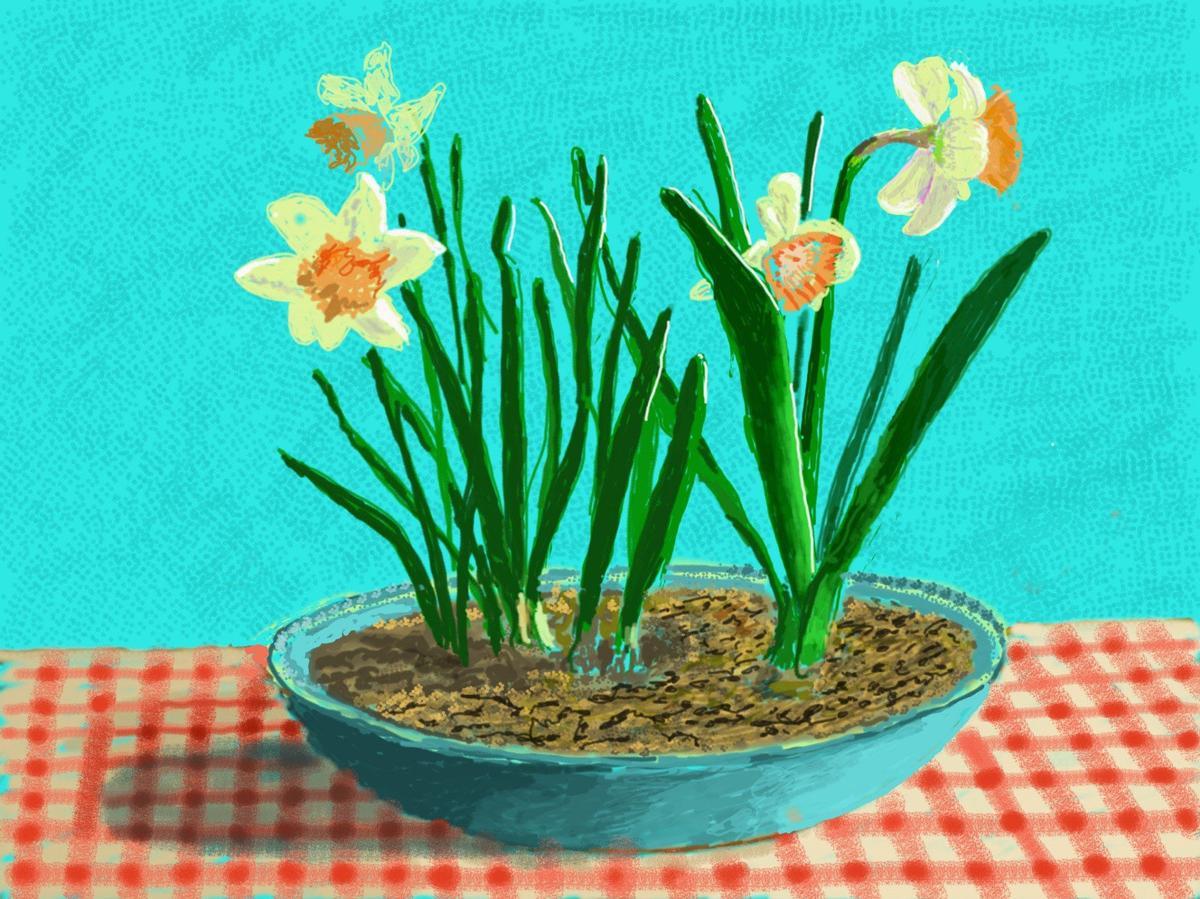 Obra recogida en el libro 'No se puede detener la primavera', de David Hockney. Obra recogida en el libro 'No se puede detener la primavera', de David Hockney.