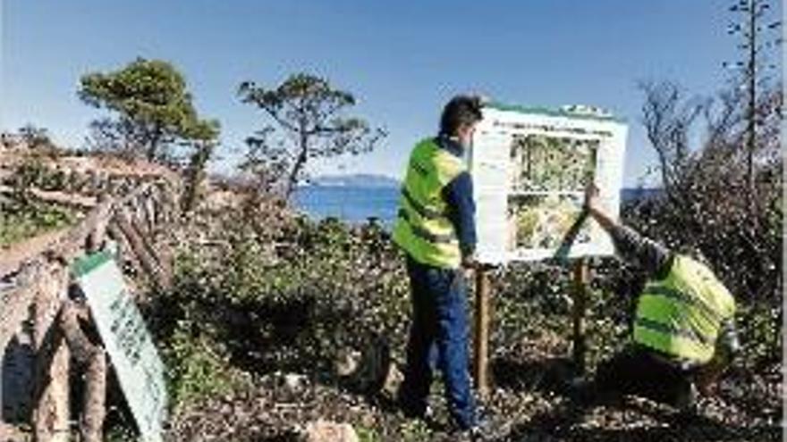 Una de les dunes, amb tècnics col·locant un cartell informatiu.