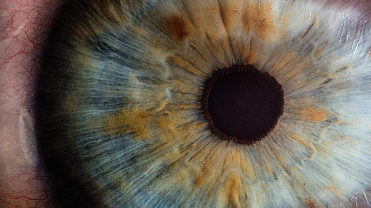 Para los investigadores, el ojo es un órgano candidato para el diagnóstico de enfermedad de las arterias coronarias.