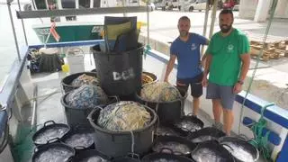 Domingo y Ramón, pescadores de Gandia: «Con este calor las medusas se quedan cerca de la orilla hasta diciembre»