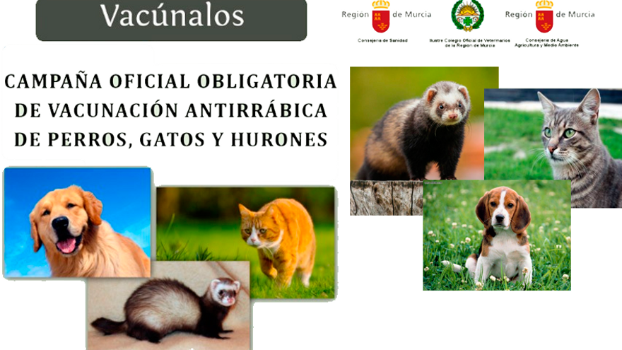 La Comunidad y el Colegio de Veterinarios lanzan la campaña &#039;Este verano, todos protegidos&#039;