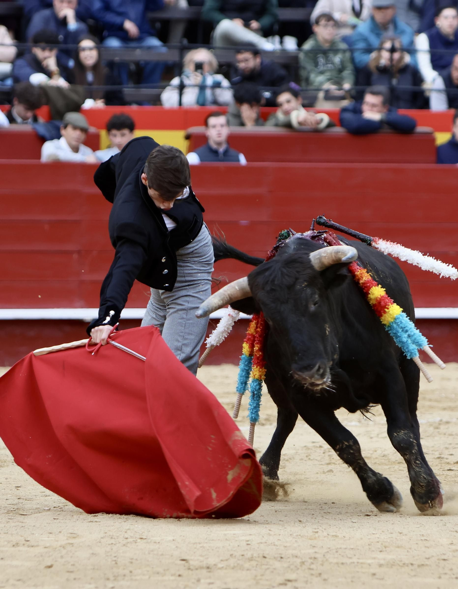 Javier Cuartero brilla en València y marca la diferencia en el cierre del ciclo de novilleros de la Feria de Fallas