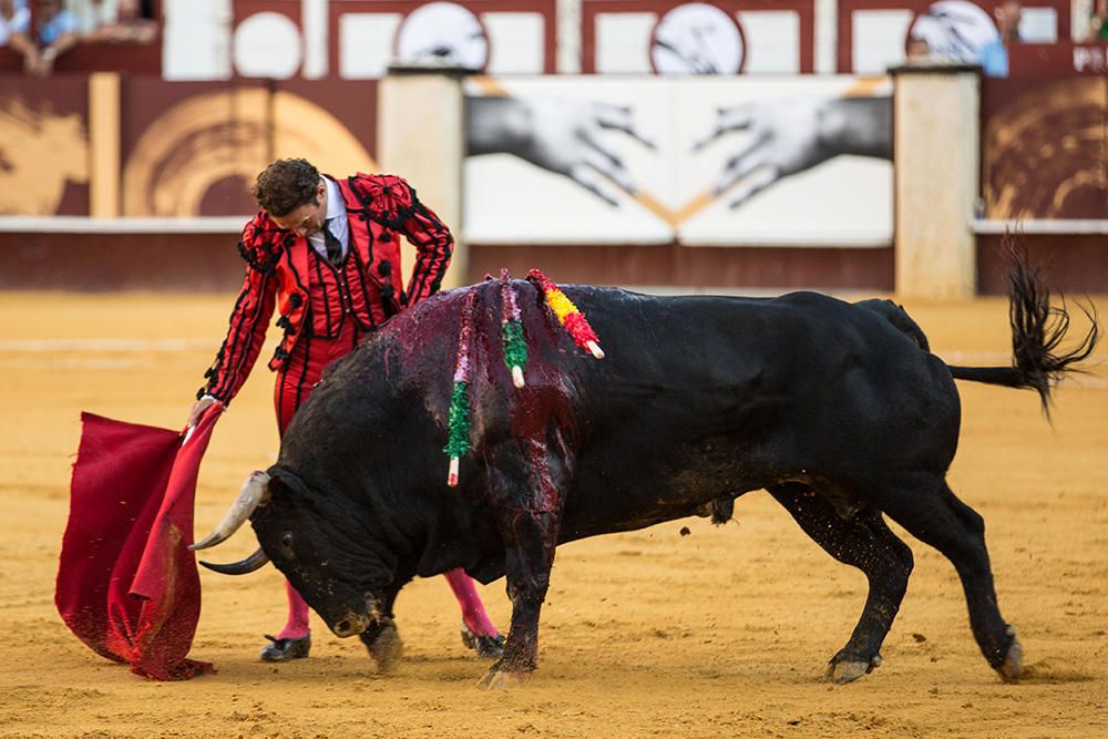 Toros | Corrida Picassiana de la Feria de Málaga