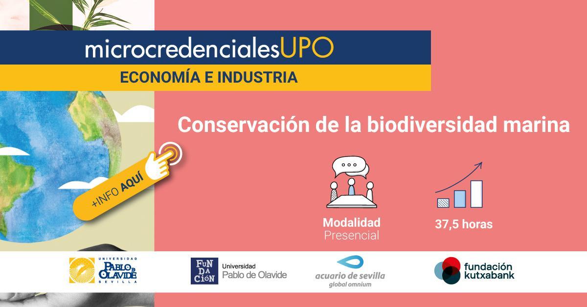 Toda la información del curso y el proceso de matriculación disponible en la web de la Universidad Pablo de Olavide
