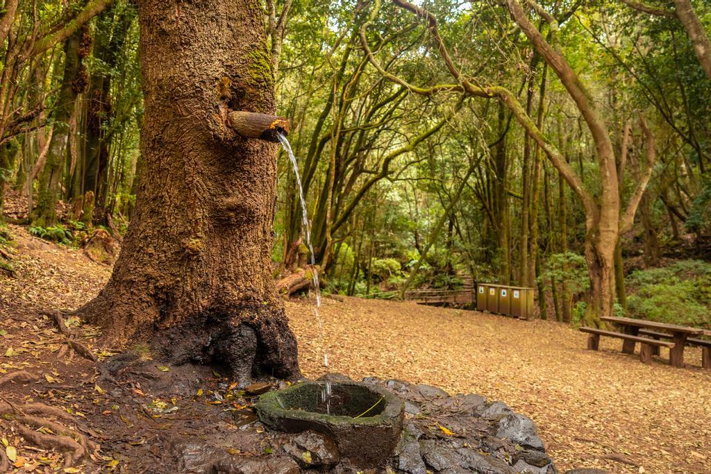 Fuente de agua junto al Arroyo del Cedro, La Gomera.