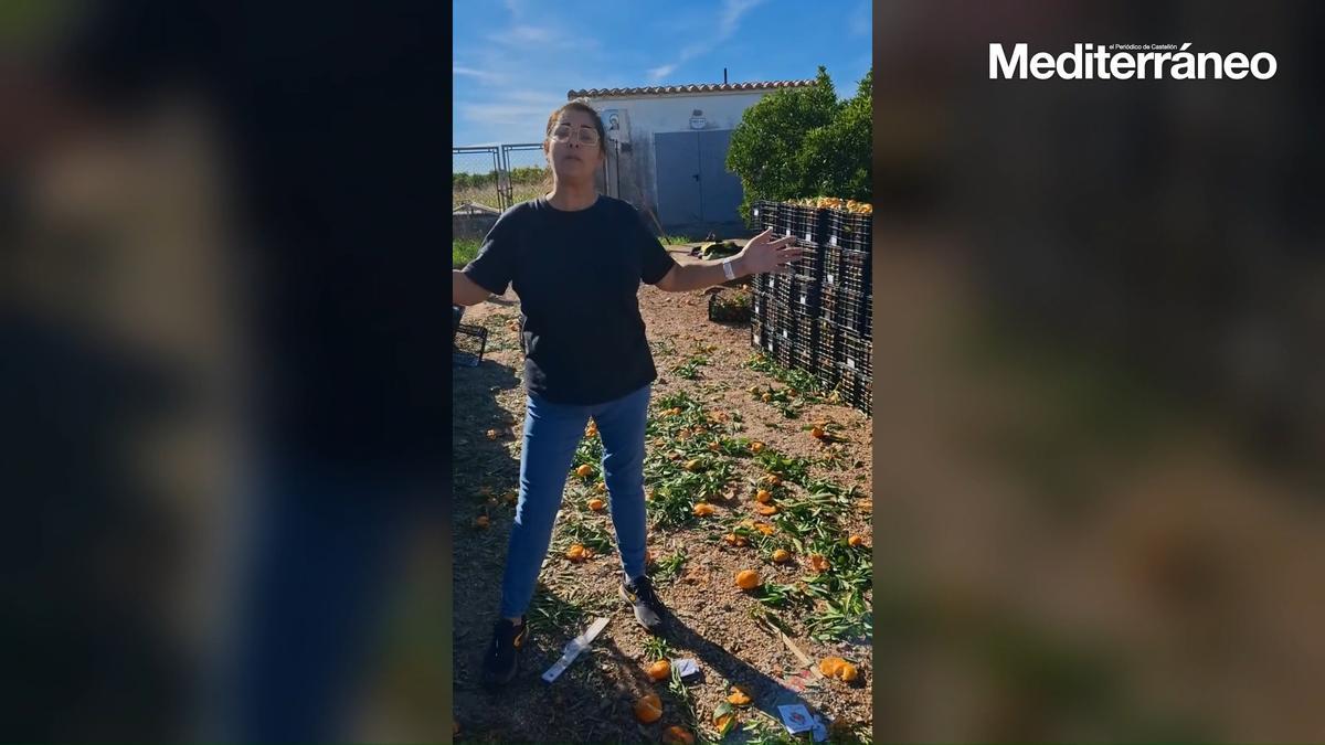 Naranjas rescatadas: «Hemos evitado el robo, pero ahora necesitamos venderlas»