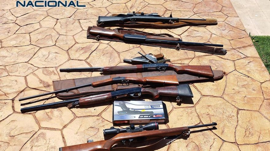 Detenido en Petrer con más de 700 plantas de marihuana y un arsenal de armas