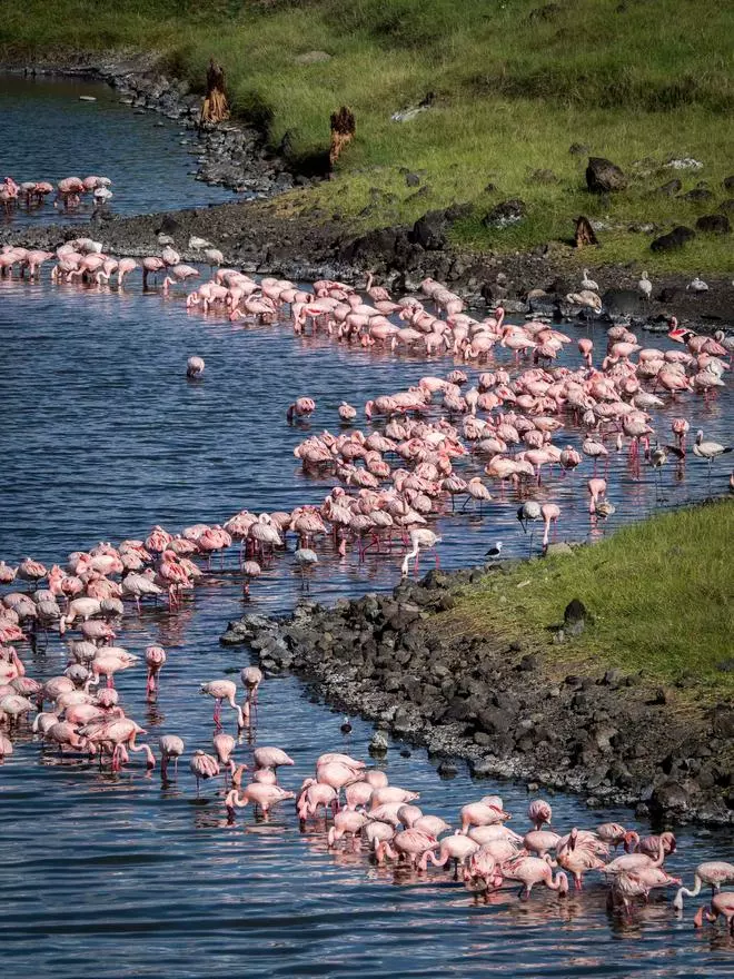II Expedición VIAJAR: del Serengeti al Ngorongoro