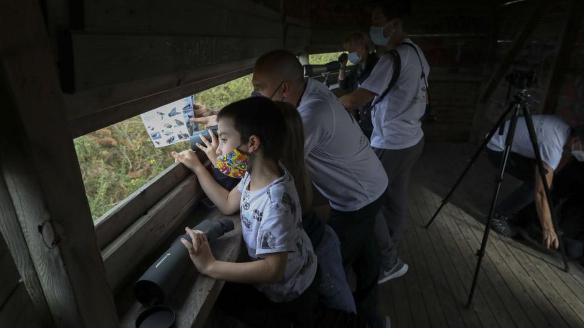 &quot;Goyas&quot; al voluntariado desde Avilés