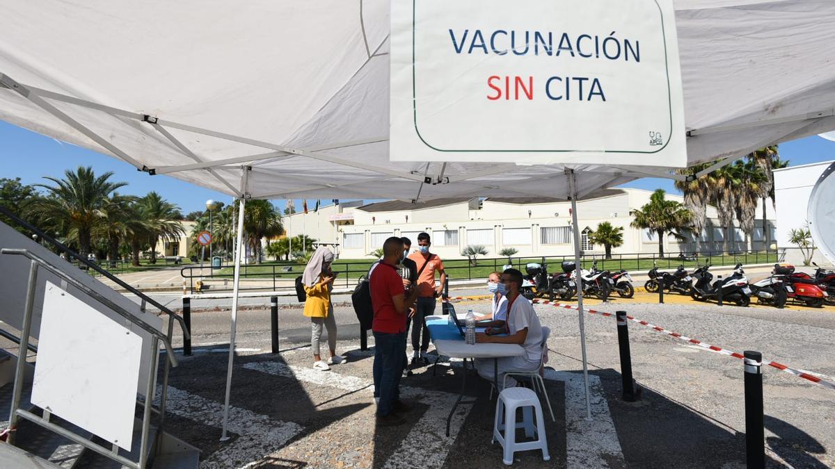 Carpa instalada en el campus universitario para vacunar sin cita a los que lo soliciten.