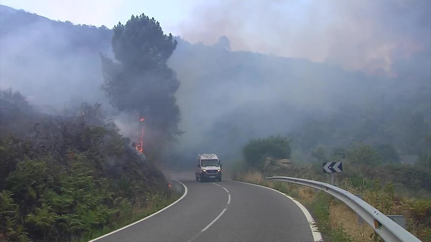 ¿Cómo afecta el cambio climático en las enfermedades cardiovasculares?